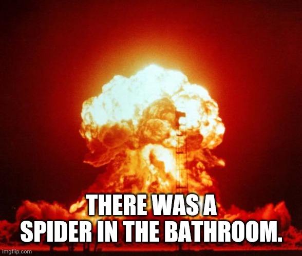 Nuke | THERE WAS A SPIDER IN THE BATHROOM. | image tagged in nuke | made w/ Imgflip meme maker