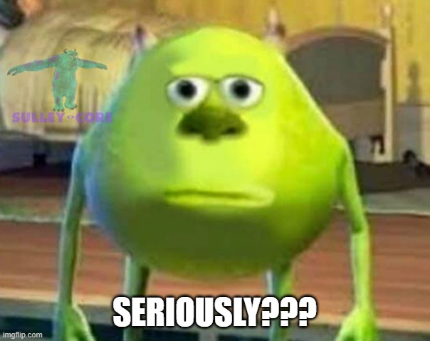 Monsters Inc | SERIOUSLY??? | image tagged in monsters inc | made w/ Imgflip meme maker