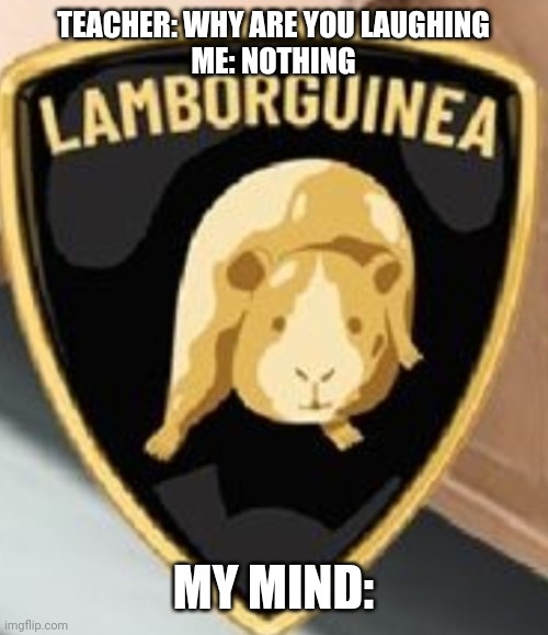 Guinea Car | TEACHER: WHY ARE YOU LAUGHING
ME: NOTHING; MY MIND: | image tagged in meme | made w/ Imgflip meme maker