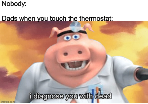I diagnose you with dead | Nobody:
 
Dads when you touch the thermostat: | image tagged in i diagnose you with dead | made w/ Imgflip meme maker