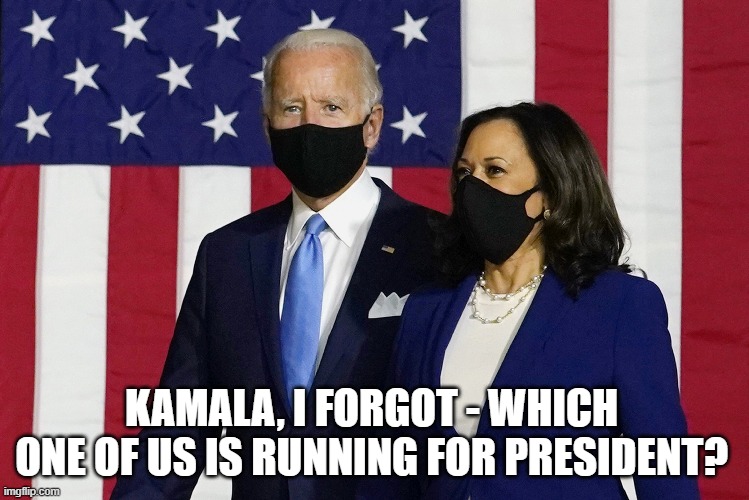 Biden and Kamala | KAMALA, I FORGOT - WHICH ONE OF US IS RUNNING FOR PRESIDENT? | image tagged in biden and kamala 2020 | made w/ Imgflip meme maker