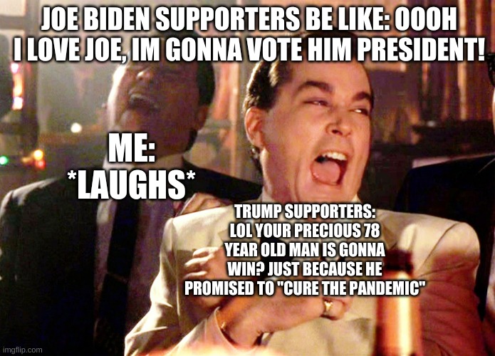 TRUMP SUPPORTERS ARE KING! | JOE BIDEN SUPPORTERS BE LIKE: OOOH I LOVE JOE, IM GONNA VOTE HIM PRESIDENT! ME: *LAUGHS*; TRUMP SUPPORTERS: LOL YOUR PRECIOUS 78 YEAR OLD MAN IS GONNA WIN? JUST BECAUSE HE PROMISED TO "CURE THE PANDEMIC" | image tagged in memes,good fellas hilarious | made w/ Imgflip meme maker