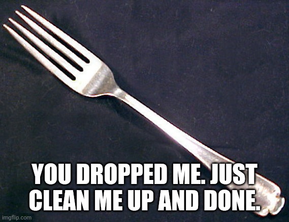fork | YOU DROPPED ME. JUST CLEAN ME UP AND DONE. | image tagged in fork | made w/ Imgflip meme maker