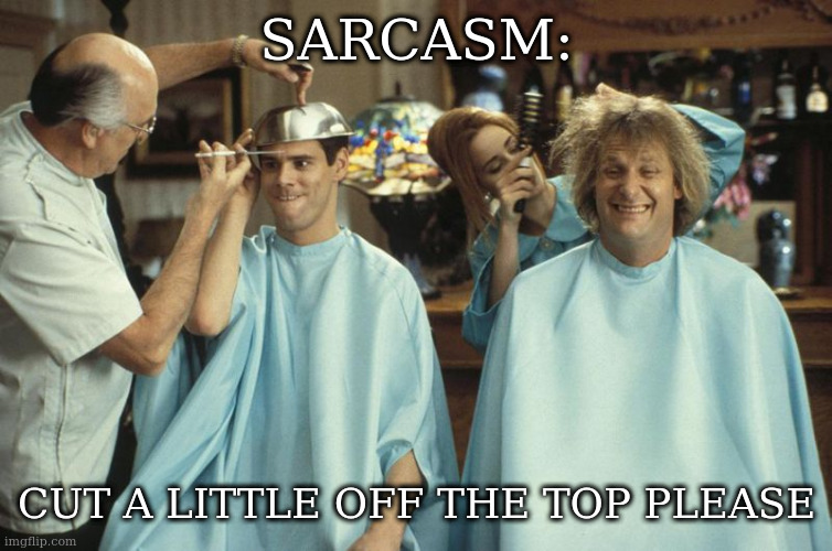 this means you i mean me | SARCASM:; CUT A LITTLE OFF THE TOP PLEASE | image tagged in dumb haircut | made w/ Imgflip meme maker