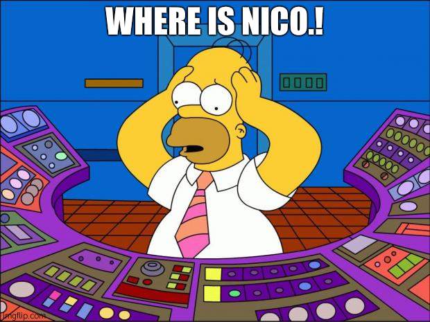 Homer Panic | WHERE IS NICO.! | image tagged in homer panic | made w/ Imgflip meme maker