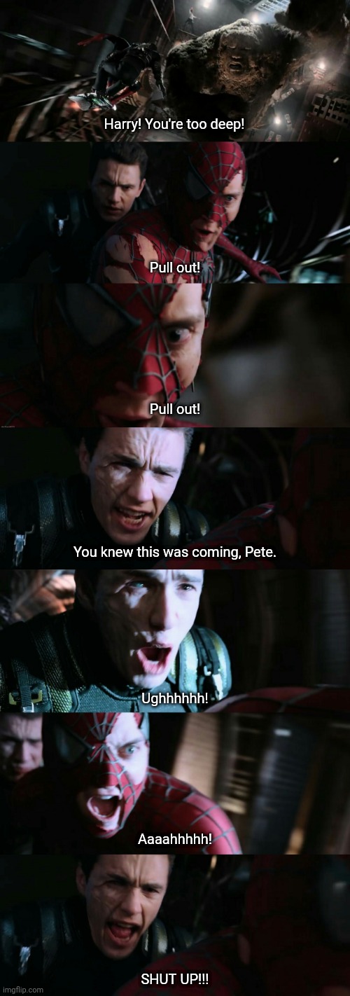 Go get her, buddy! : r/raimimemes