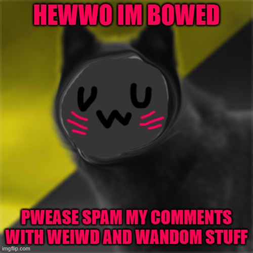 uwukhaine | HEWWO IM BOWED; PWEASE SPAM MY COMMENTS WITH WEIWD AND WANDOM STUFF | image tagged in uwukhaine,cat,pwease spam me,im bored af | made w/ Imgflip meme maker