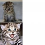 High Quality Sad Kitten to Happy Kitten Blank Meme Template