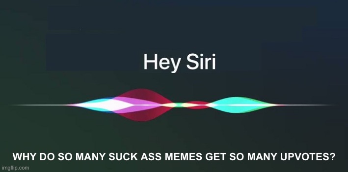 Hey Siri! | WHY DO SO MANY SUCK ASS MEMES GET SO MANY UPVOTES? | image tagged in hey siri,meanwhile on imgflip,imgflip,upvotes | made w/ Imgflip meme maker