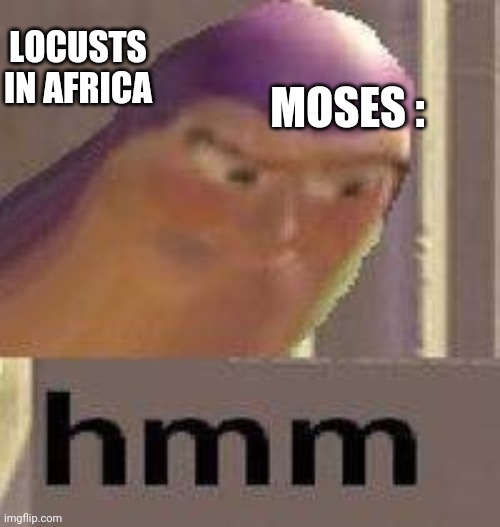 Moses hmmmmmmmm | MOSES :; LOCUSTS IN AFRICA | image tagged in buzz lightyear hmm,christian,moses | made w/ Imgflip meme maker
