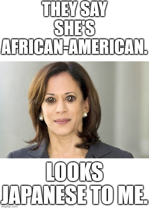 SO FROM AN INDIAN AND A HALF WHITE JAMAICAN YOU GET AN AFRICAN-AMERICAN, HAHAHA, NOT BLOODY LIKELY(IN AN IRISH ACCENT)! | THEY SAY SHE'S AFRICAN-AMERICAN. LOOKS JAPANESE TO ME. | image tagged in kamala harris,african,anime | made w/ Imgflip meme maker