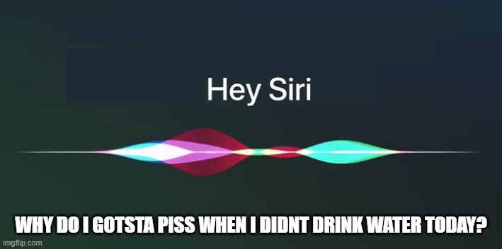 my siri | WHY DO I GOTSTA PISS WHEN I DIDNT DRINK WATER TODAY? | image tagged in hey siri | made w/ Imgflip meme maker