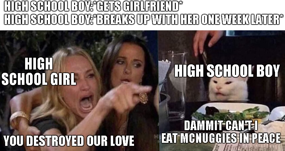 how would it be if this was us | HIGH SCHOOL BOY:*GETS GIRLFRIEND*
HIGH SCHOOL BOY:*BREAKS UP WITH HER ONE WEEK LATER*; HIGH SCHOOL BOY; HIGH SCHOOL GIRL; DAMMIT CAN'T I EAT MCNUGGIES IN PEACE; YOU DESTROYED OUR LOVE | image tagged in woman yelling at cat | made w/ Imgflip meme maker