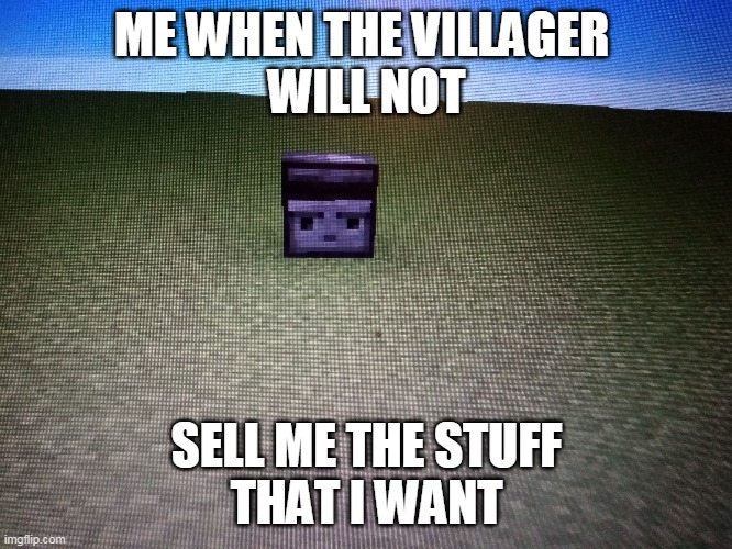 When the villager is not cooperating | ME WHEN THE VILLAGER 
WILL NOT; SELL ME THE STUFF 
THAT I WANT | image tagged in observer inc | made w/ Imgflip meme maker