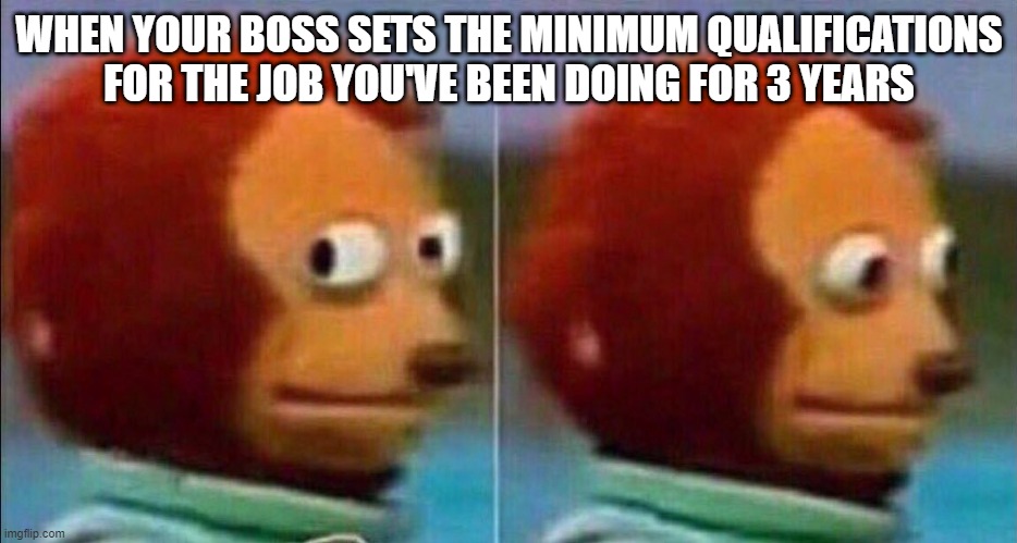 Monkey looking away | WHEN YOUR BOSS SETS THE MINIMUM QUALIFICATIONS FOR THE JOB YOU'VE BEEN DOING FOR 3 YEARS | image tagged in monkey looking away | made w/ Imgflip meme maker