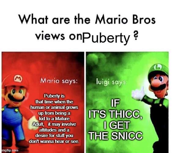 Mario and luigi are both right | Puberty; Puberty is that time when the human or animal grows up from being a kid to a Mature Adult,   it may involve attitudes and a desire for stuff you don't wanna hear or see. IF IT'S THICC,  I GET THE SNICC | image tagged in mario bros views,memes,puberty | made w/ Imgflip meme maker
