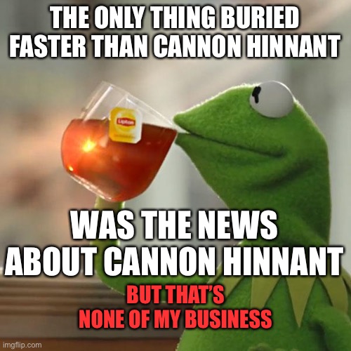 The only thing buried faster than Cannon Hinnant | THE ONLY THING BURIED FASTER THAN CANNON HINNANT; WAS THE NEWS ABOUT CANNON HINNANT; BUT THAT’S NONE OF MY BUSINESS | image tagged in but that's none of my business,kermit the frog,news,cannon hinnant,fake news,msm | made w/ Imgflip meme maker
