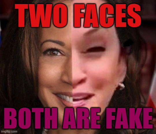 two face kamala | TWO FACES; BOTH ARE FAKE | image tagged in kamala,kamala harris,two face,two faces,evil kamala,two face kamala | made w/ Imgflip meme maker