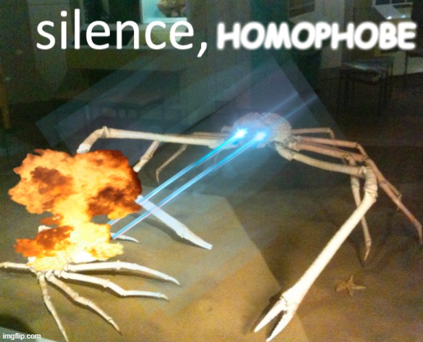 when someone makes fun of gay people | HOMOPHOBE | image tagged in silence crab,homophobic,crab,homophobia | made w/ Imgflip meme maker