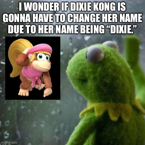 Is “Dixie Kong” racist? | I WONDER IF DIXIE KONG IS GONNA HAVE TO CHANGE HER NAME DUE TO HER NAME BEING “DIXIE.” | image tagged in kermit window,memes,dixie,donkey kong,politically correct,triggered | made w/ Imgflip meme maker