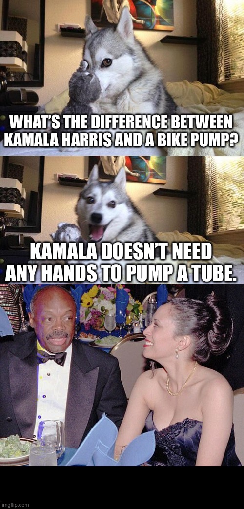 Bad Pun Dog Meme | WHAT’S THE DIFFERENCE BETWEEN KAMALA HARRIS AND A BIKE PUMP? KAMALA DOESN’T NEED ANY HANDS TO PUMP A TUBE. | image tagged in memes,bad pun dog,kamala harris,willie brown,dirty joke,hand | made w/ Imgflip meme maker