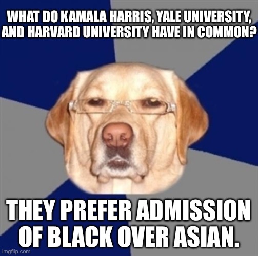 Blasian admission policies | WHAT DO KAMALA HARRIS, YALE UNIVERSITY, AND HARVARD UNIVERSITY HAVE IN COMMON? THEY PREFER ADMISSION OF BLACK OVER ASIAN. | image tagged in racist dog,memes,kamala harris,black,asian,college | made w/ Imgflip meme maker