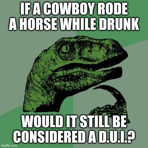 Or more like an R.U.I.? | IF A COWBOY RODE A HORSE WHILE DRUNK; WOULD IT STILL BE CONSIDERED A D.U.I.? | image tagged in memes,philosoraptor,cowboy,drinking,drunk,dui | made w/ Imgflip meme maker