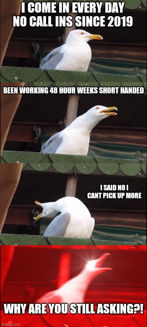 Inhaling Seagull Meme | I COME IN EVERY DAY NO CALL INS SINCE 2019; BEEN WORKING 48 HOUR WEEKS SHORT HANDED; I SAID NO I CANT PICK UP MORE; WHY ARE YOU STILL ASKING?! | image tagged in memes,inhaling seagull,nursing | made w/ Imgflip meme maker