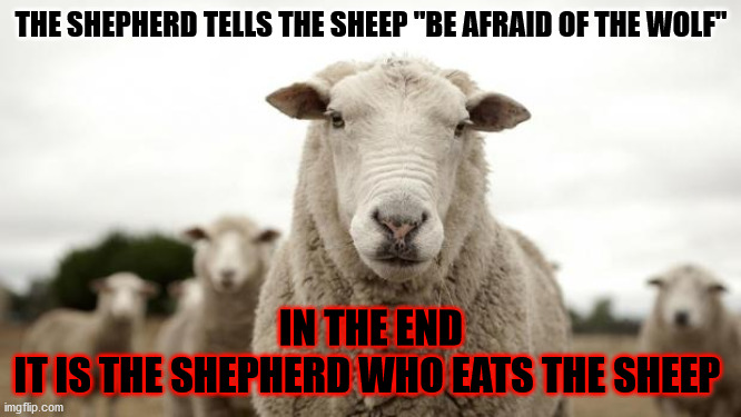 Sheep | THE SHEPHERD TELLS THE SHEEP "BE AFRAID OF THE WOLF"; IN THE END
IT IS THE SHEPHERD WHO EATS THE SHEEP | image tagged in sheep | made w/ Imgflip meme maker