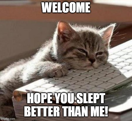 Hope you slept better than me | WELCOME; HOPE YOU SLEPT BETTER THAN ME! | image tagged in tired cat | made w/ Imgflip meme maker