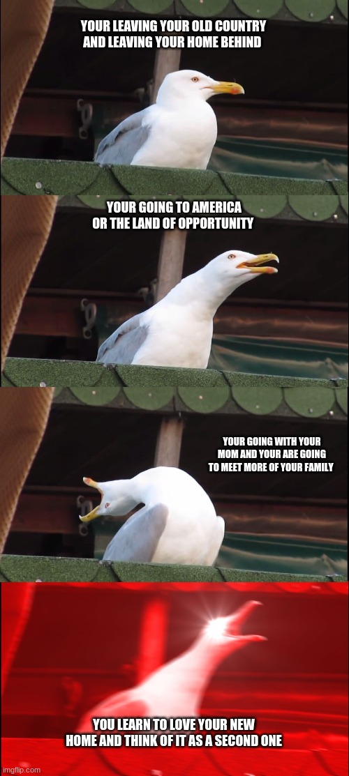 Inhaling Seagull | YOUR LEAVING YOUR OLD COUNTRY AND LEAVING YOUR HOME BEHIND; YOUR GOING TO AMERICA OR THE LAND OF OPPORTUNITY; YOUR GOING WITH YOUR MOM AND YOUR ARE GOING TO MEET MORE OF YOUR FAMILY; YOU LEARN TO LOVE YOUR NEW HOME AND THINK OF IT AS A SECOND ONE | image tagged in memes,inhaling seagull | made w/ Imgflip meme maker
