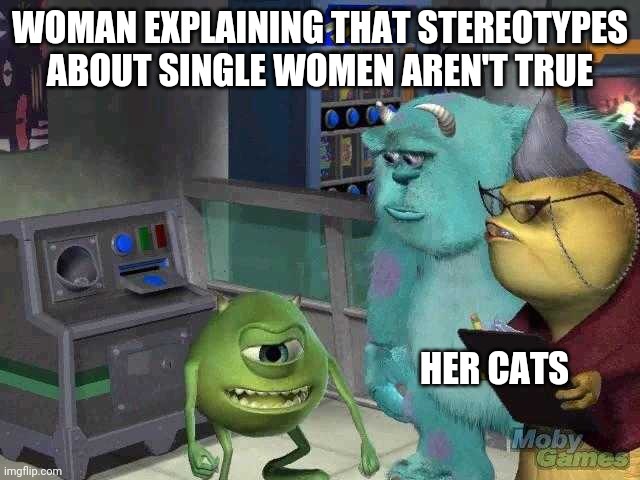 Mike wazowski trying to explain | WOMAN EXPLAINING THAT STEREOTYPES ABOUT SINGLE WOMEN AREN'T TRUE; HER CATS | image tagged in mike wazowski trying to explain | made w/ Imgflip meme maker