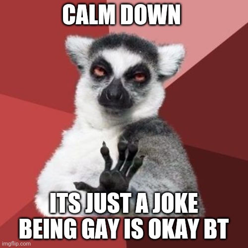 calm down | CALM DOWN ITS JUST A JOKE BEING GAY IS OKAY | image tagged in calm down | made w/ Imgflip meme maker