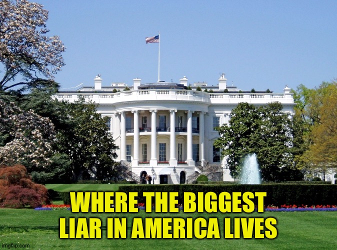 White House | WHERE THE BIGGEST LIAR IN AMERICA LIVES | image tagged in white house | made w/ Imgflip meme maker