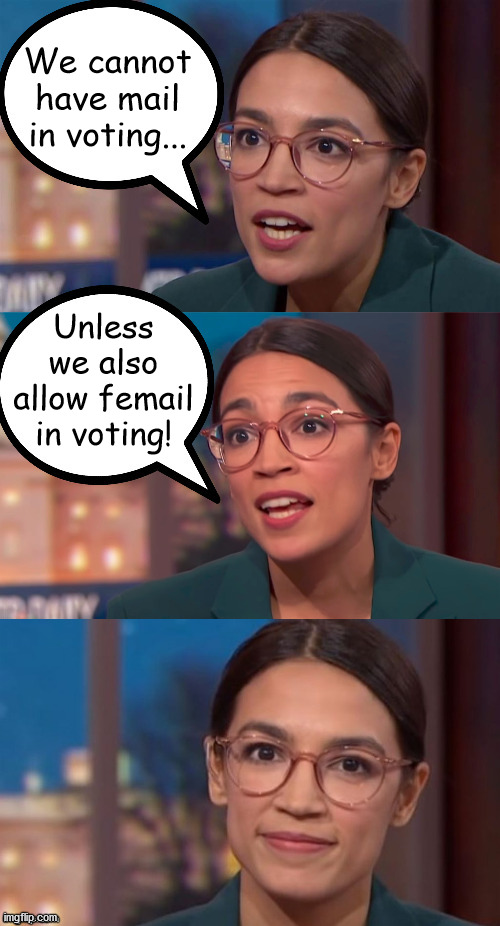 aoc dialog | We cannot have mail in voting... Unless we also allow femail in voting! | image tagged in aoc dialog,voting | made w/ Imgflip meme maker