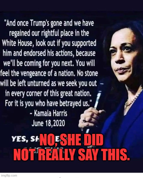 This quote originated on the satire website bustatroll.org. If you believe it, you are gullible as hell. | NO, SHE DID NOT REALLY SAY THIS. | image tagged in memes,politics,kamala harris,false claims | made w/ Imgflip meme maker