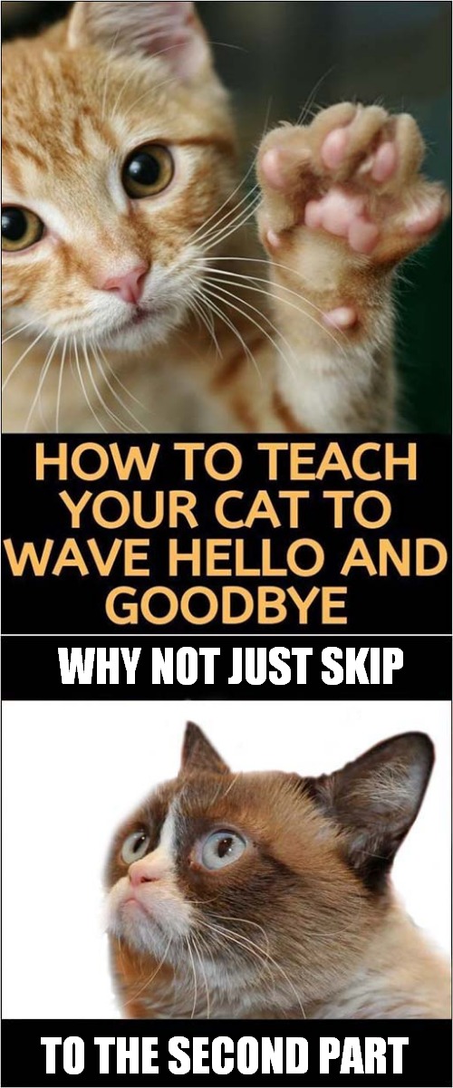 Grumpy Says Time To Say Goodbye | WHY NOT JUST SKIP; TO THE SECOND PART | image tagged in grumpy cat,hello,goodbye,cats | made w/ Imgflip meme maker