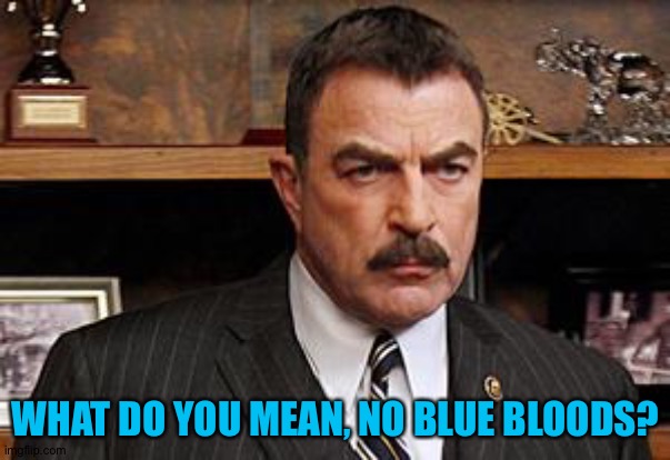 Tom Selleck | WHAT DO YOU MEAN, NO BLUE BLOODS? | image tagged in tom selleck | made w/ Imgflip meme maker