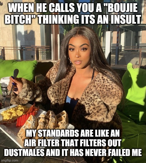 Queen energy | WHEN HE CALLS YOU A "BOUJIE BITCH" THINKING ITS AN INSULT; MY STANDARDS ARE LIKE AN AIR FILTER THAT FILTERS OUT DUSTMALES AND IT HAS NEVER FAILED ME | image tagged in memes,meme,true,so true,funny memes,funny | made w/ Imgflip meme maker