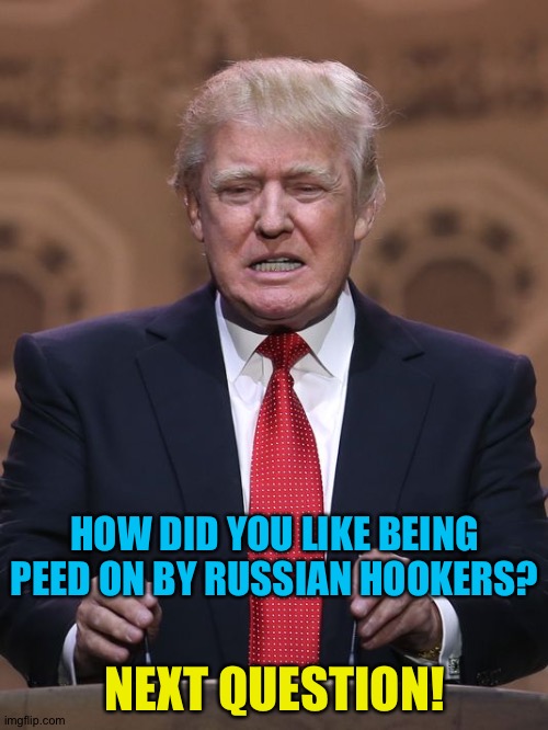 Donald Trump | HOW DID YOU LIKE BEING PEED ON BY RUSSIAN HOOKERS? NEXT QUESTION! | image tagged in donald trump | made w/ Imgflip meme maker