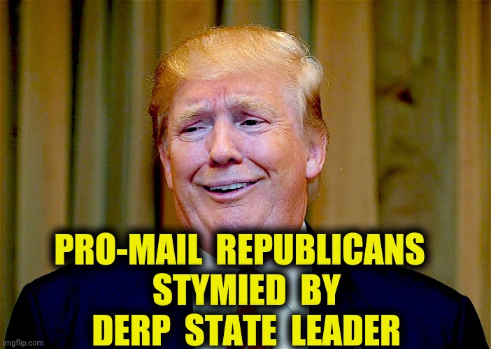 Postal Service is Crucial Infrastructure | PRO-MAIL  REPUBLICANS 
 STYMIED  BY  DERP  STATE  LEADER | image tagged in trump,voting,mail,postal service,post office,memes | made w/ Imgflip meme maker