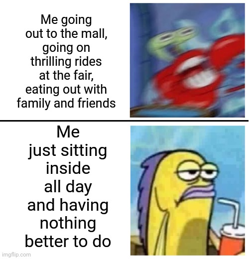 Me being excited vs. me being bored | Me going out to the mall, going on thrilling rides at the fair, eating out with family and friends; Me just sitting inside all day and having nothing better to do | image tagged in excited vs bored,memes,meme,dank memes,dank meme,bored | made w/ Imgflip meme maker