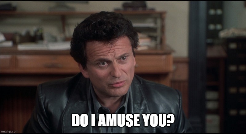 My Cousin Vinny | DO I AMUSE YOU? | image tagged in my cousin vinny | made w/ Imgflip meme maker