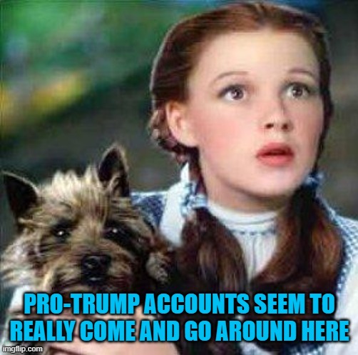[deleted] Trump i5 tey b3st!!1! | PRO-TRUMP ACCOUNTS SEEM TO REALLY COME AND GO AROUND HERE | image tagged in dorothy | made w/ Imgflip meme maker
