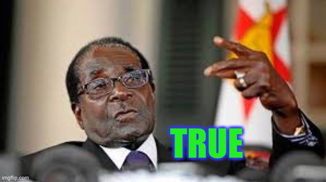 Food thinking Mugabe | TRUE | image tagged in food thinking mugabe | made w/ Imgflip meme maker