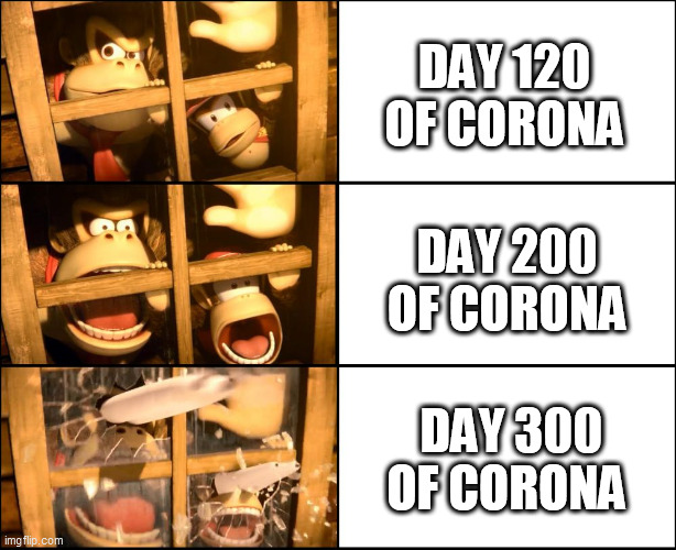Donkey Kong and Diddy Kong surprised | DAY 120 OF CORONA; DAY 200 OF CORONA; DAY 300 OF CORONA | image tagged in donkey kong and diddy kong surprised,coronavirus,covid-19,virus,panic,politics | made w/ Imgflip meme maker