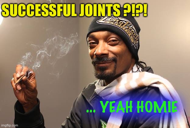 Snoop Dogg | SUCCESSFUL JOINTS ?!?! ... YEAH HOMIE | image tagged in snoop dogg | made w/ Imgflip meme maker