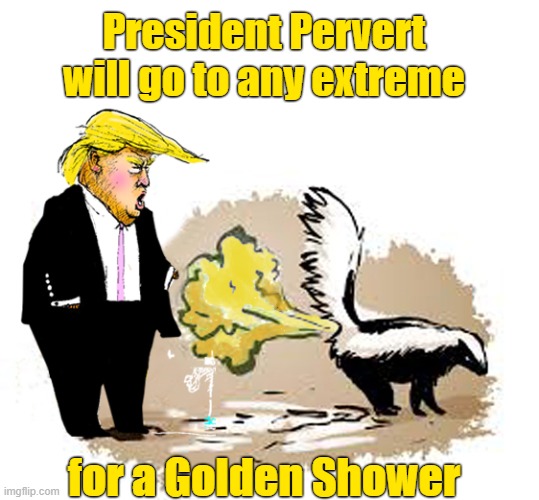 President Pervert | President Pervert will go to any extreme; for a Golden Shower | image tagged in deplorable donald,golden showers,pervert,donald trump memes,cohen book disloyal,pee pee | made w/ Imgflip meme maker
