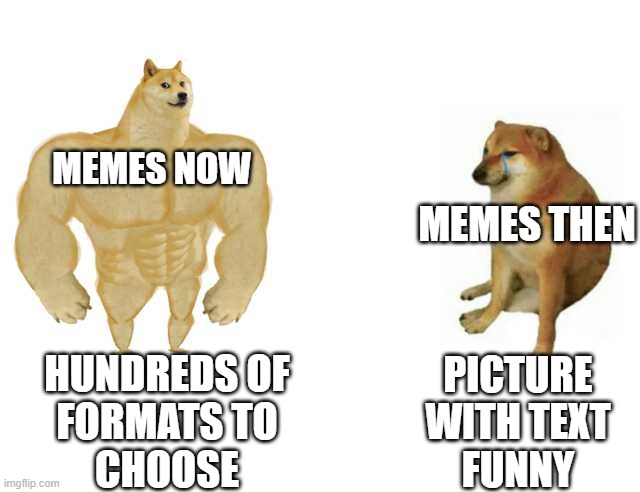 Buff Doge vs. Cheems | MEMES NOW; MEMES THEN; HUNDREDS OF
FORMATS TO
CHOOSE; PICTURE
WITH TEXT
FUNNY | image tagged in strong doge weak doge | made w/ Imgflip meme maker