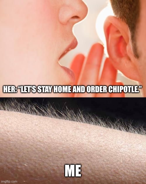 For real though she knows how to make me happy | HER: “LET’S STAY HOME AND ORDER CHIPOTLE.”; ME | image tagged in goose bumps,stay home,chipotle | made w/ Imgflip meme maker